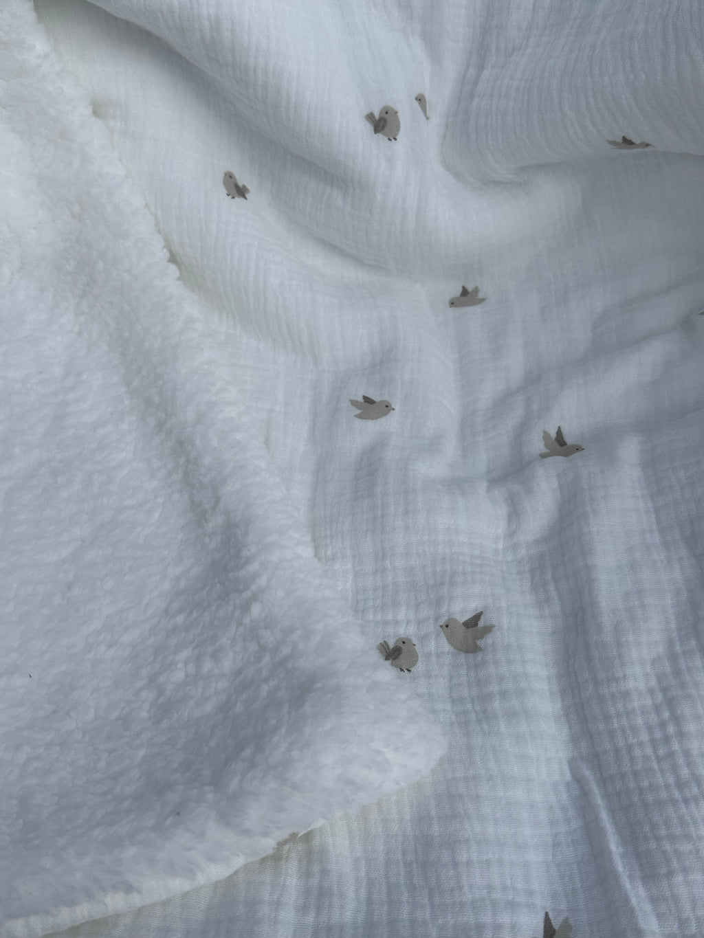 Couverture Oiseaux