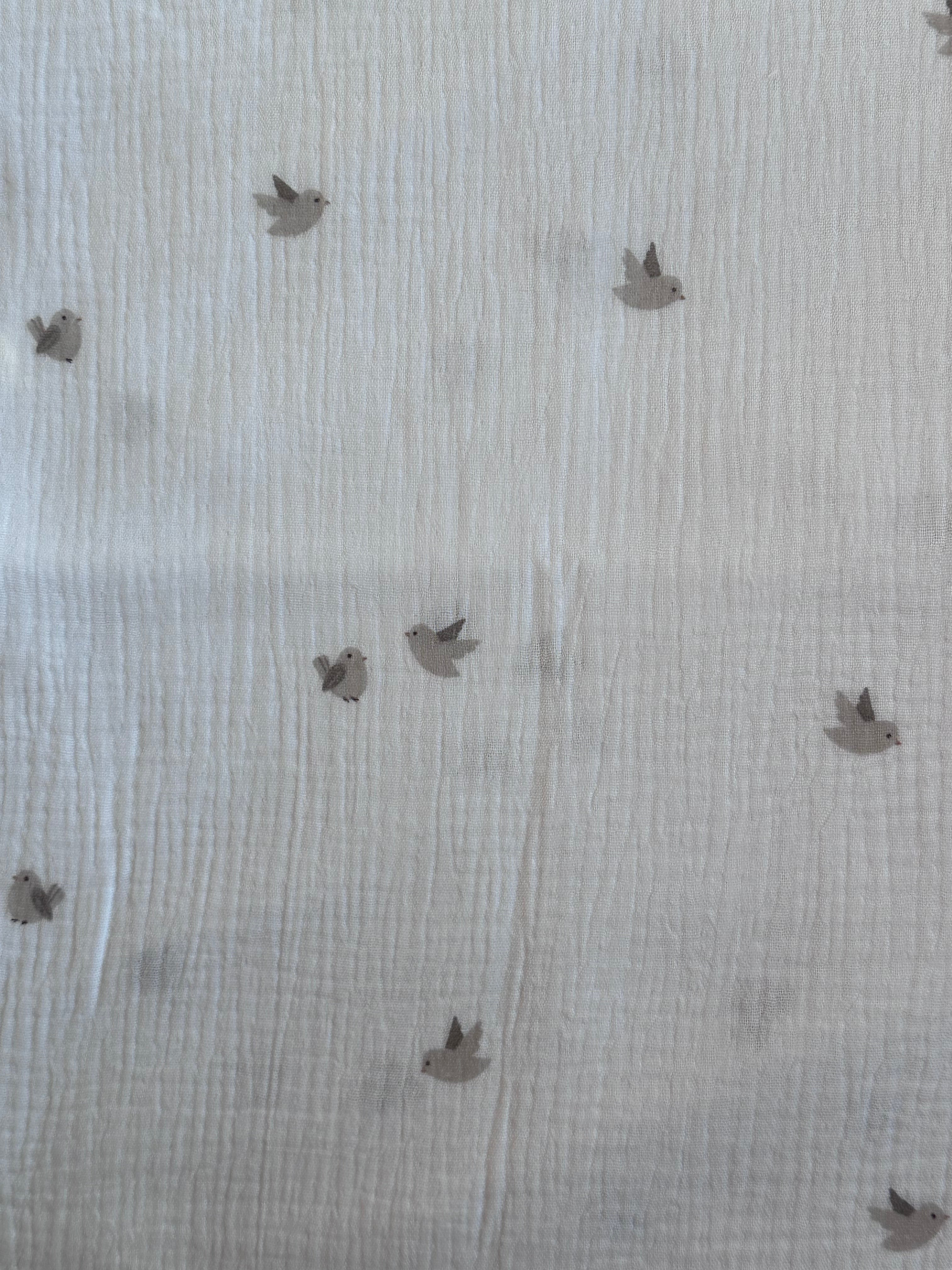 Bloomer Oiseaux