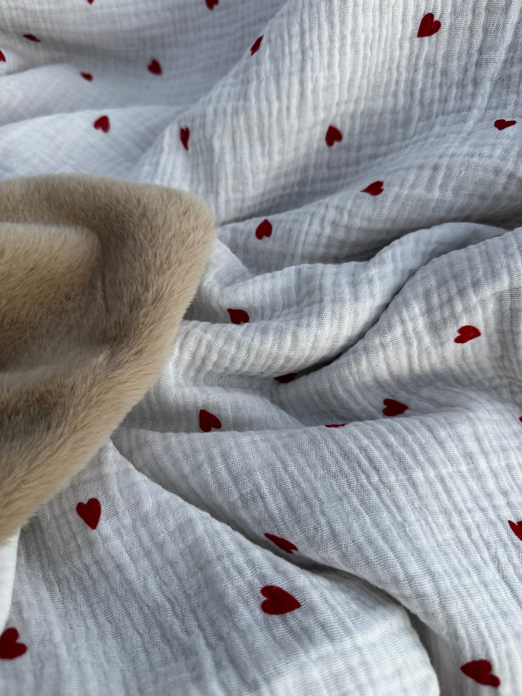 Couverture Coeur rouge